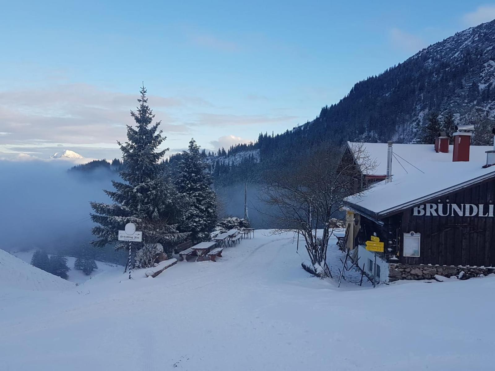 Bruendling-Alm Berggasthof Auf 1167M Auf Dem Hochfelln Hotel แบร์เกน ภายนอก รูปภาพ