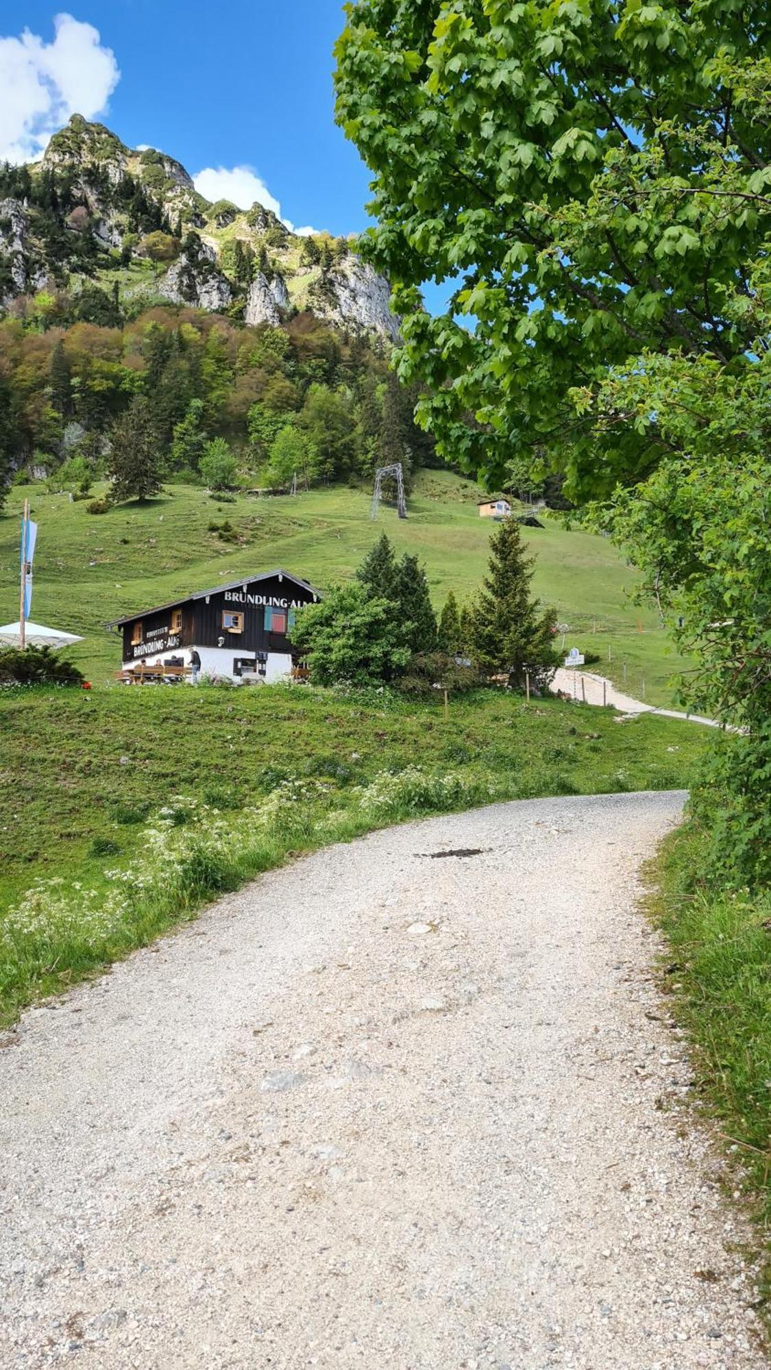 Bruendling-Alm Berggasthof Auf 1167M Auf Dem Hochfelln แบร์เกน ภายนอก รูปภาพ